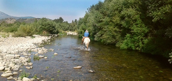 Taste of Sicily 6 Days 